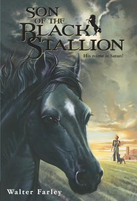 Image for Son of the Black Stallion