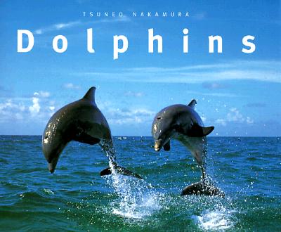 Image for Dolphins