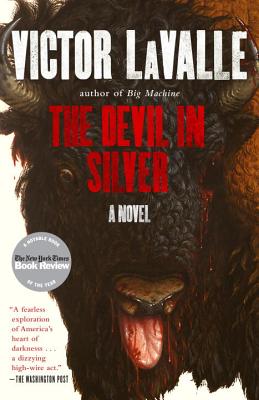 Image for The Devil in Silver: A Novel
