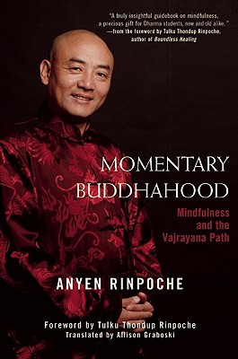 Image for Momentary Buddhahood: Mindfulness and the Vajrayana Path