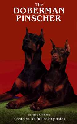 Image for The Doberman Pinscher