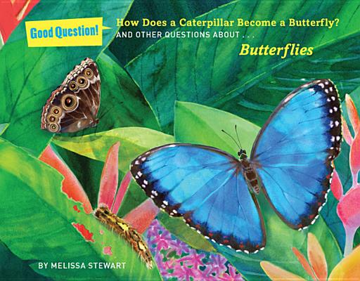 Image for How Does a Caterpillar Become a Butterfly?: And Other Questions about Butterflies (Good Question!)