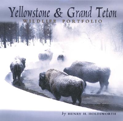 Yellowstone & Grand Teton Wildlife Portfolio, Holdsworth, Henry H. Yellowstone & Grand Teton Wildlife Portfolio, Holdsworth, Henry H.