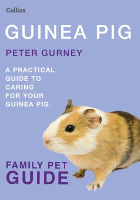 Guinea Pig (Collins Family Pet Guide)