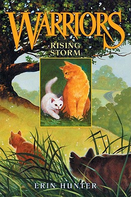 Rising Storm (Warriors, Book 4)