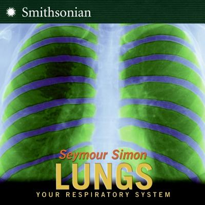 Lungs: All about Our Respiratory System and More!
