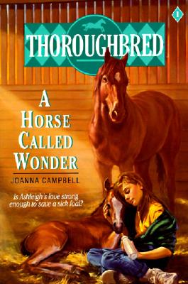 Image for Thoroughbred #01 A Horse Called Wonder