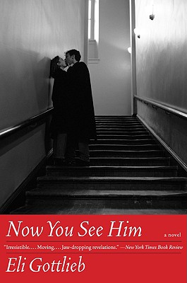 Now You See Him: A Novel (P.S)