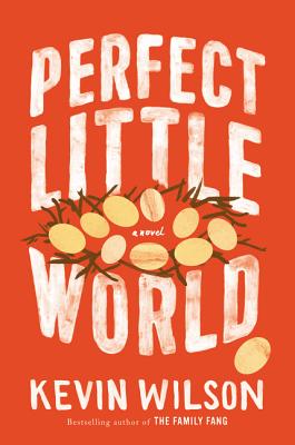 Image for Perfect Little World A Novel