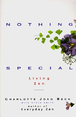 Image for Nothing Special