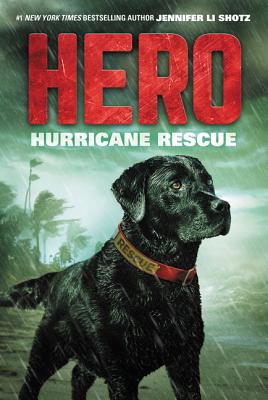 Hero: Hurricane Rescue [Paperback] Shotz, Jennifer Li