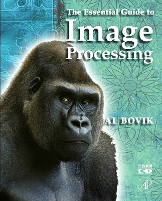 The Essential Guide to Image Processing
