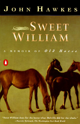 Sweet William: A Memoir of Old Horse