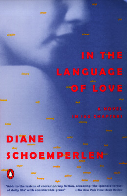 IN THE LANGUAGE OF LOVE: A NOVEL IN 100 CHAPTERS