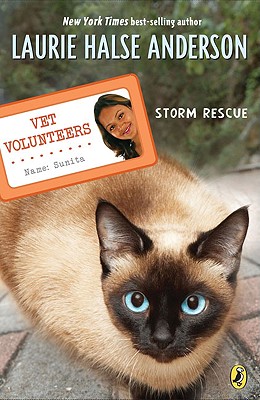 Storm Rescue #6 (Vet Volunteers)
