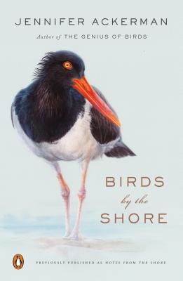 Image for Birds by the Shore: Observing the Natural Life of the Atlantic Coast