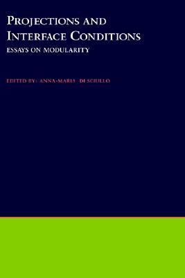 Projections and Interface Conditions: Essays on Modularity