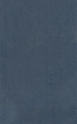 [HOMER] HOMERI OPERA, TOMUS II [Iliad] [Vol 2]: Iliadis Libros XIII-XXIV Continens. Recognovit Brevique Adnotatione Critica Instruxit David B. Monro Et Thomas W. Allen. Editio Tertia