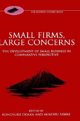 Small Firms, Large Concerns: The Development of Small Business in Comparative Perspective (Fuji Business History)