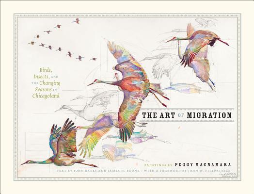 Art of Migration: Birds, Insects, and the Changing Seasons in Chicagoland
