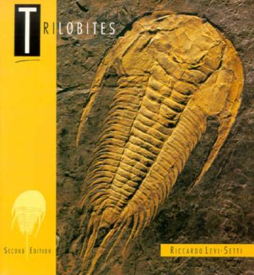 Image for Trilobites