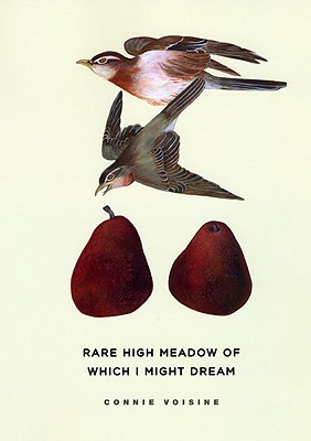 Rare High Meadow of Which I Might Dream (Phoenix Poets)