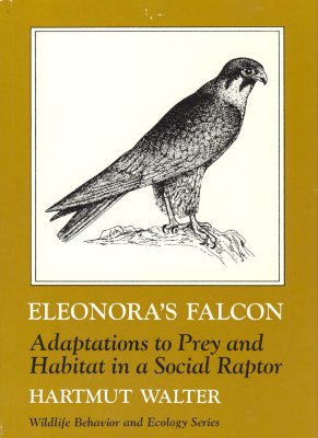 Eleonora's Falcon: Adaptations to Prey and Habitat in a Social Raptor (Wildlife Behavior and Ecology series)