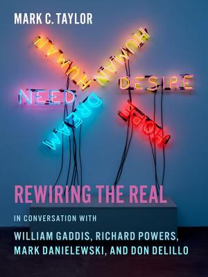 Rewiring the Real: In Conversation with William Gaddis, Richard Powers, Mark Danielewski, and Don DeLillo (Religion, Culture, and Public Life)