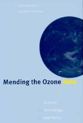 Mending the Ozone Hole: Science, Technology, and Policy