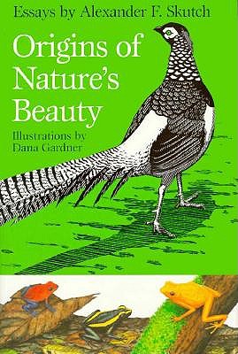 Origins Of Nature s Beauty