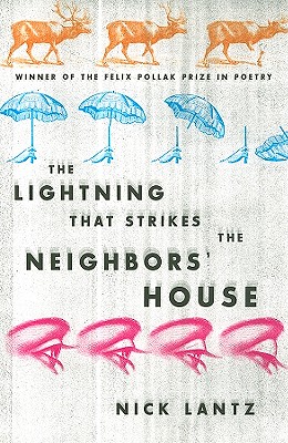 The Lightning That Strikes the Neighbors House (Wisconsin Poetry Series)