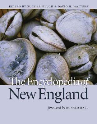 Image for The Encyclopedia of New England