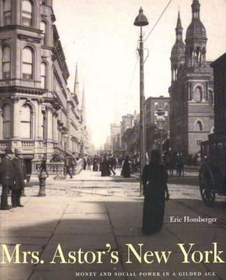 Mrs. Astors New York: Money and Social Power in a Gilded Age
