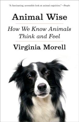 Image for Animal Wise: How We Know Animals Think and Feel