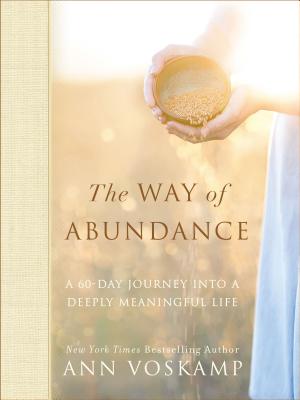 Image for The Way of Abundance: A 60-Day Journey into a Deeply Meaningful Life