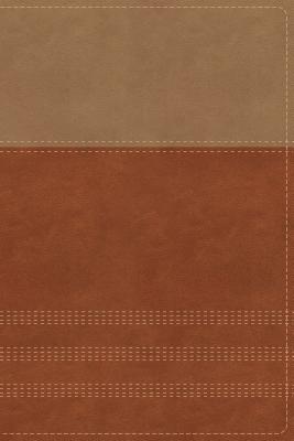 Image for "NIV Biblical Theology Study Bible, Imitation Leather, Tan and Caramel Comfort Print"