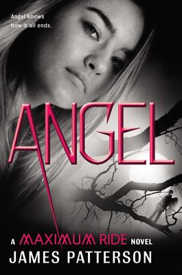 Image for Angel: A Maximum Ride Novel (Maximum Ride, 7)