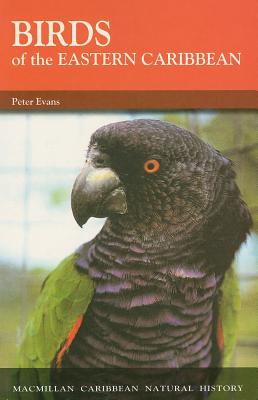 Birds Of The Eastern Caribbean