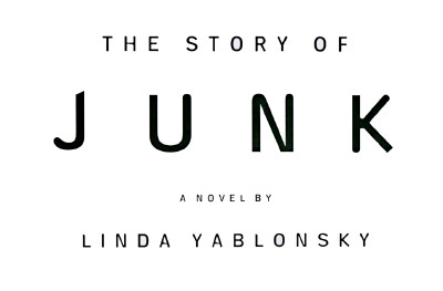 The Story of Junk A Novel