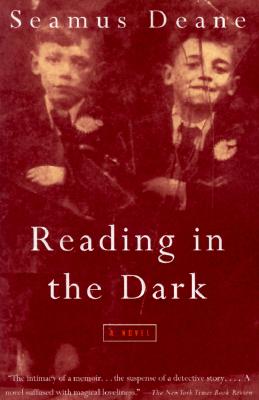Reading in the Dark: A Novel