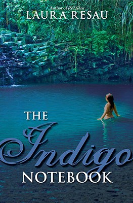 Image for The Indigo Notebook (Notebook Series) The Indigo Notebook (Notebook Series)