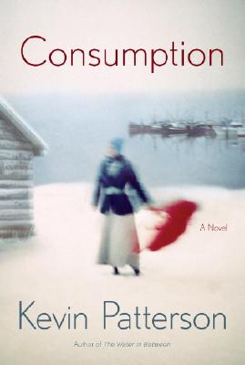 Consumption: A novel