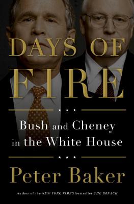 Image for Days of Fire: Bush and Cheney in the White House