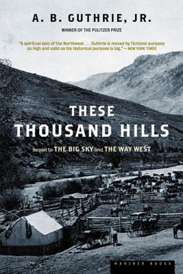 Image for These Thousand Hills (Big Sky)