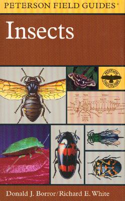 Image for A Field Guide to Insects