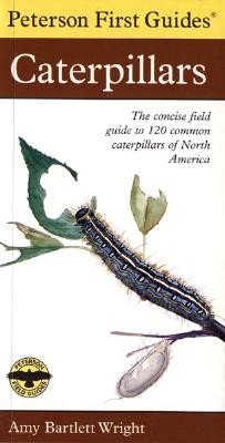 Image for Peterson First Guide To Caterpillars Of North America