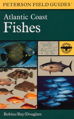 Image for Field Guide to Atlantic Coast Fishes: North America Field Guide to Atlantic Coast Fishes: North America
