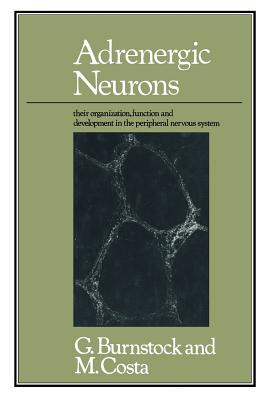 Adrenergic Neurons: Their Organization, Function, and Development in the Peripheral Nervous System