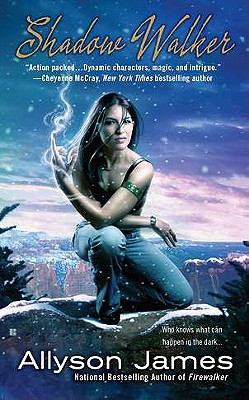 Shadow Walker (Stormwalker, Book 3)