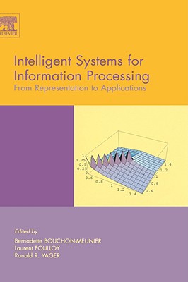 Intelligent Systems for Information Processing: From Representation to Applications